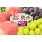 ふるさと納税 【2026年発送！先行予約！】ちっとばかしフルーツ3回定期便 桃 巨峰 シャインマスカット 【年3回】NS-1016 [韮崎翠緑 山梨県 韮崎.. 山梨県韮崎市