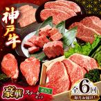 神戸牛ステーキ豪華頒布会全6 ステーキ