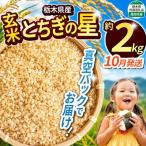 令和8年度新米 産とちぎの星 玄米真空パック 約2kg