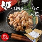 くま納豆ミニカップ60個 小粒 なっとう