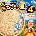 令和8年度新米 産とちぎの星 玄米真空パック 約2kg×2