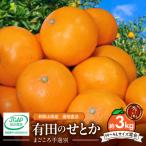せとか 約3kg