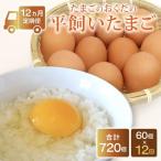 平飼い卵 60個入