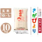ふるさと納税 【令和7年産】さがびより 玄米 10kg 農園(H061A35) 佐賀県神埼市
