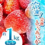 完熟 冷凍とちあいか 約1kg