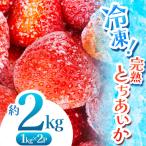栃木のこでらんない冷凍イチゴ とちあいか 約2kg