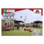 ツマギアンズ貸切利用券 休日4名様