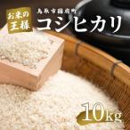 Y493 コシヒカリ 令和7年産 精米済 10kg