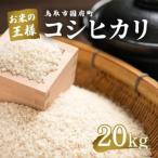 Y494 コシヒカリ 令和7年産 精米済 20kg
