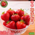 暖家のいちご 用完熟あまおう 8粒~9粒