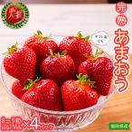 暖家のいちご 用完熟あまおう 8粒~9粒