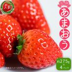 暖家のいちご 完熟あまおう 約275g×4パック