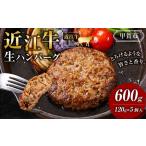 ふるさと納税 近江牛 生ハンバーグ 120g×5個入 滋賀県甲賀市