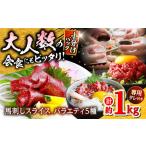 ふるさと納税 馬刺し バラエティスライス 約1.03kg 5種類 タレ付き  馬刺し[AYAF010] 熊本県合志市