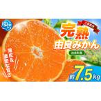 薄皮で濃い甘さ 完熟由良みかん 7.5kg