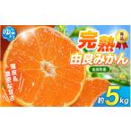 薄皮で濃い甘さ 完熟由良みかん 5kg×1箱