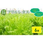 fu.... налог оборка lettuce 6 пакет примерно 1.8kg | lettuce asahi город Chiba префектура asahi город 