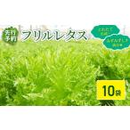 fu.... налог оборка lettuce 10 пакет примерно 3kg | lettuce asahi город Chiba префектура asahi город 