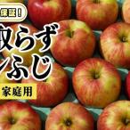 りんごサンふじ訳ありCA貯蔵 りんご