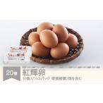 自然平飼 紅輝卵 10個入りパック×2 ※破損補償2個を含む