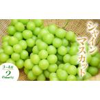 ふるさと納税 シャインマスカット 2〜4房 約2kg ぶどう ブドウ 葡萄 マスカット 果物 フルーツ 長野県 長野 山ノ内町 長野県山ノ内町