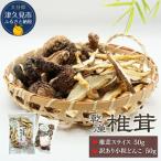 椎茸スライス 訳ありどんこ椎茸 詰合せ 大分産