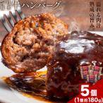 さつま福永牛 ハンバーグ 5個
