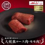 大槌鹿ロース肉 モモ肉セット 天然鹿 鹿肉