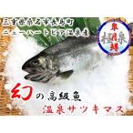 ニューハートピア温泉 温泉サツキマス 30~35cm
