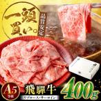 飛騨牛サーロイン リブロース 400g×1パック