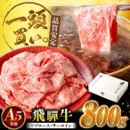 飛騨牛サーロイン リブロース 800g