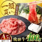 飛騨牛 肩ロース 400g×1パック