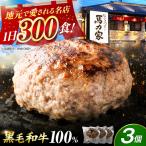 超ハンバーグ ミニ 3個
