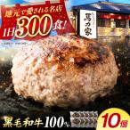 超ハンバーグ ミニ 10個
