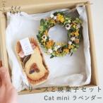 リースセット 花七曜 ドライフラワー 焼菓子