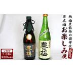 ふるさと納税 【偶数月定期便・年2回お届け】地酒豊能梅の頒布会 日本酒お楽しみ便 Wgs-0094 高知県香南市