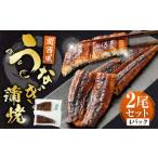 ふるさと納税 うなぎの蒲焼 (関西風) 2尾 セット 鰻 ウナギ 鰻の蒲焼 蒲焼き タレ うなぎのタレ 山椒 国産 熊本県