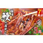 鰻蒲焼 3尾