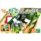 新鮮野菜産直セット 7-10品目 BTBQ004野菜