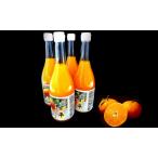 ショッピング甘平 ふるさと納税 甘平100％！ トロ甘な贅沢 甘平ジュース 中山農園 愛媛県愛南町