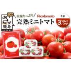 予定 完熟ミニトマト 360g