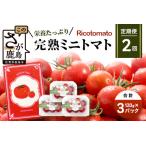 予定 完熟ミニトマト 360g