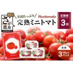 カラフルミニトマト6種 360g