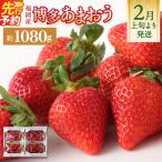 いちご あまおう 約270g×4パック