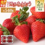 いちご あまおう 約270g×2パック
