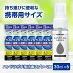 除菌 ハンドラボ手指消毒スプレーVH30ml×6