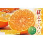 ふるさと納税 愛媛の旬の柑橘 「紅まどんな」約1.7kg 4L〜Lサイズ 6〜10個(青マル以上) 紅まどんな 紅マドンナ まどんな マドンナ みかん ミカン 蜜.. 愛媛県