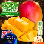 アップルマンゴー 2kg