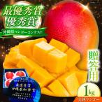 アップルマンゴー 1kg