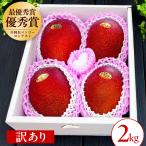 マンゴー 訳あり 2kg